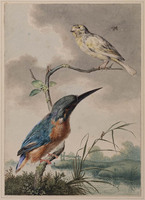 X 055
<br/>
Een ijsvogel en een europese kanarie
<br/>
<em>Thier, Barend Hendrik (1743-1811)</em>